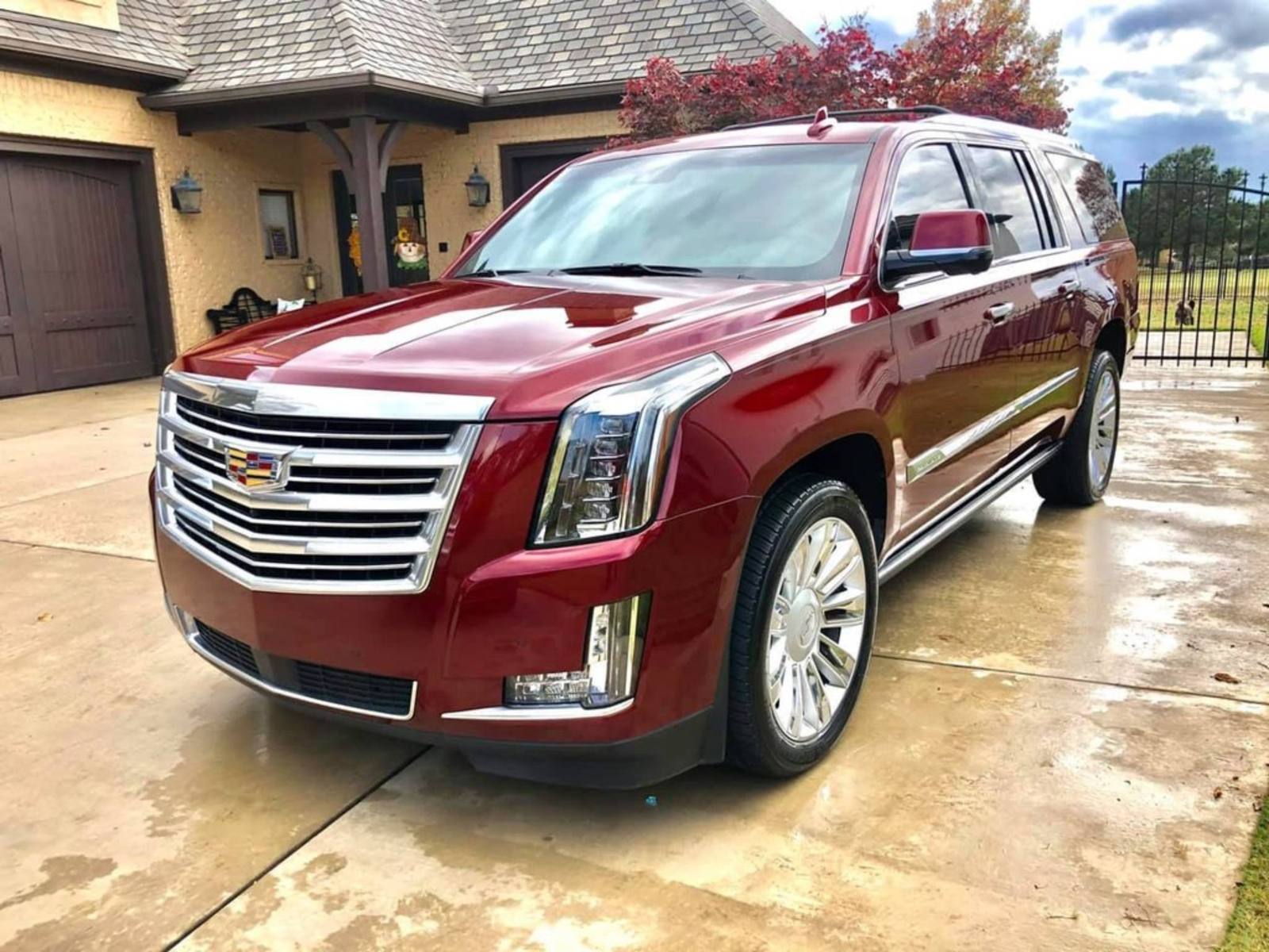 WNYGLOSSBOSS detailing work